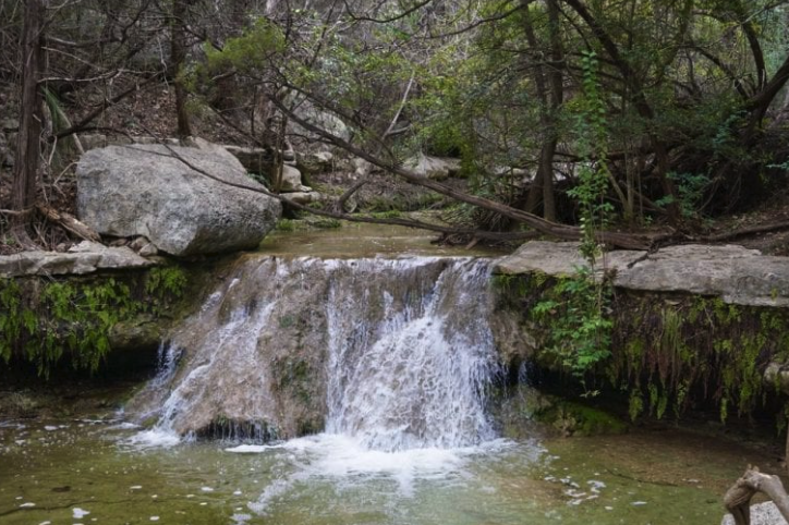Austin River Place Natural Trail image